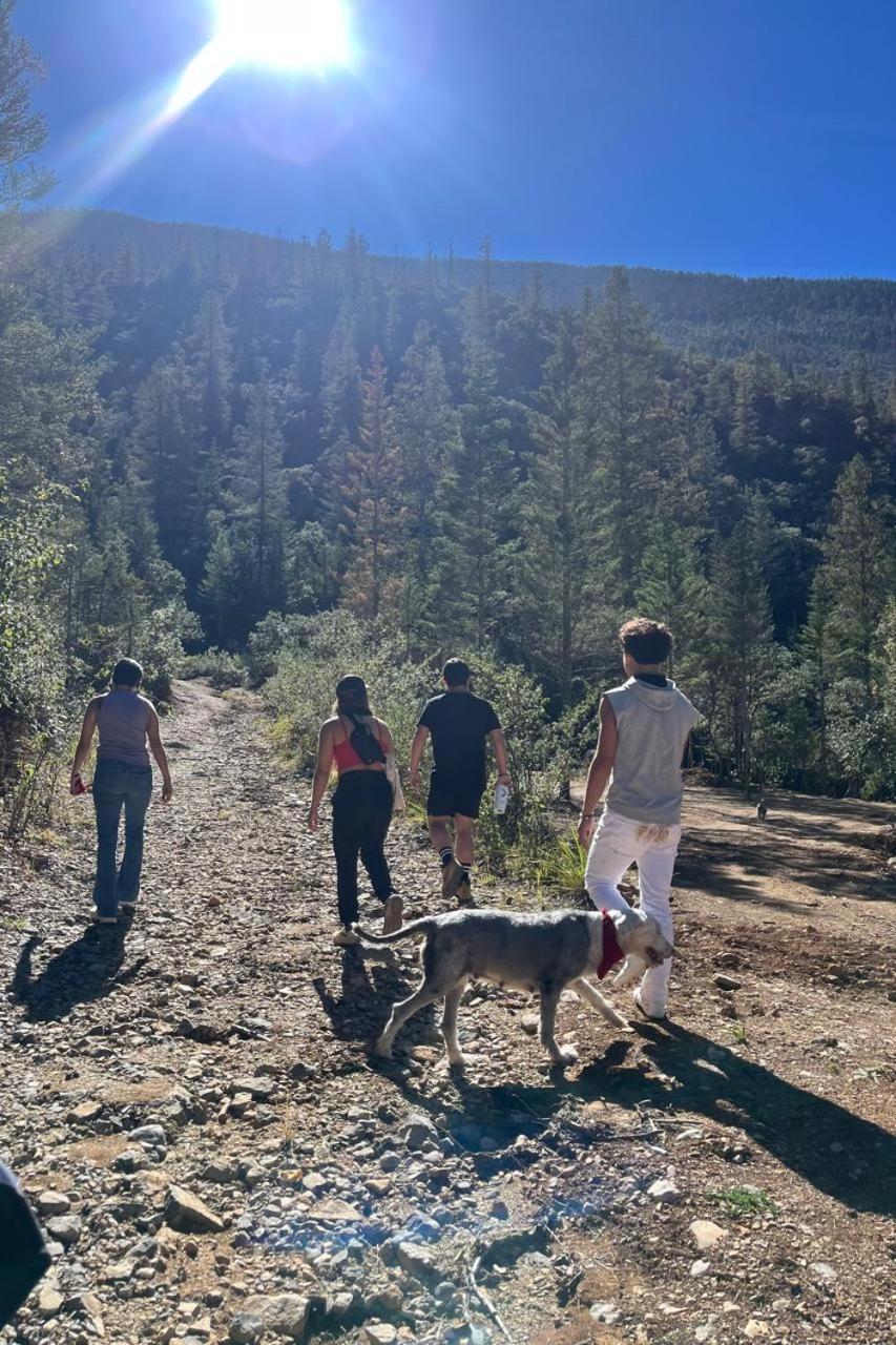 Camping En La Sierra De Arteaga Los Lirios Екстер'єр фото